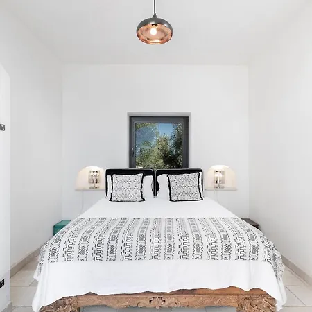 In Olive Groove Cisternino