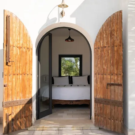 In Olive Groove Villa
