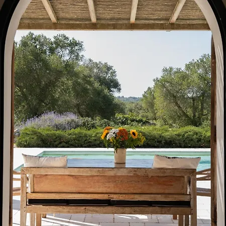 In Olive Groove Villa