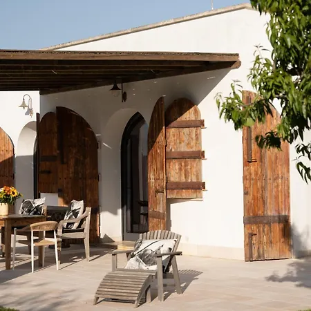 In Olive Groove * Cisternino