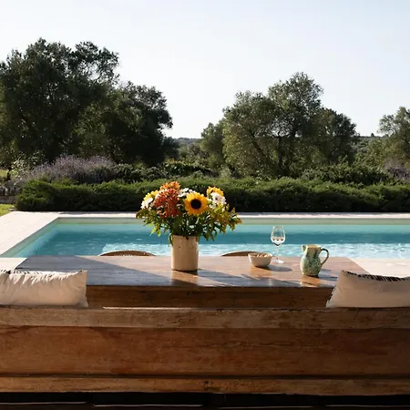 Villa In Olive Groove Cisternino